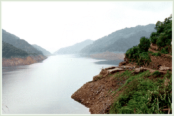Teegebiet Anhui - biologischer Anbau